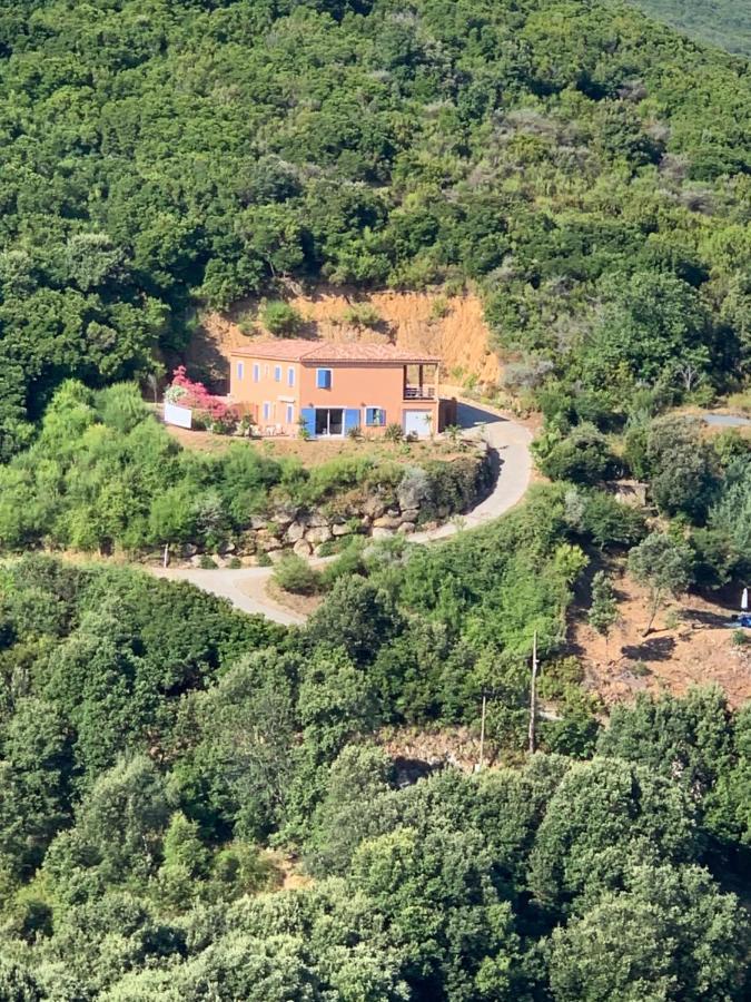 Villa Confina Villanova Esterno foto